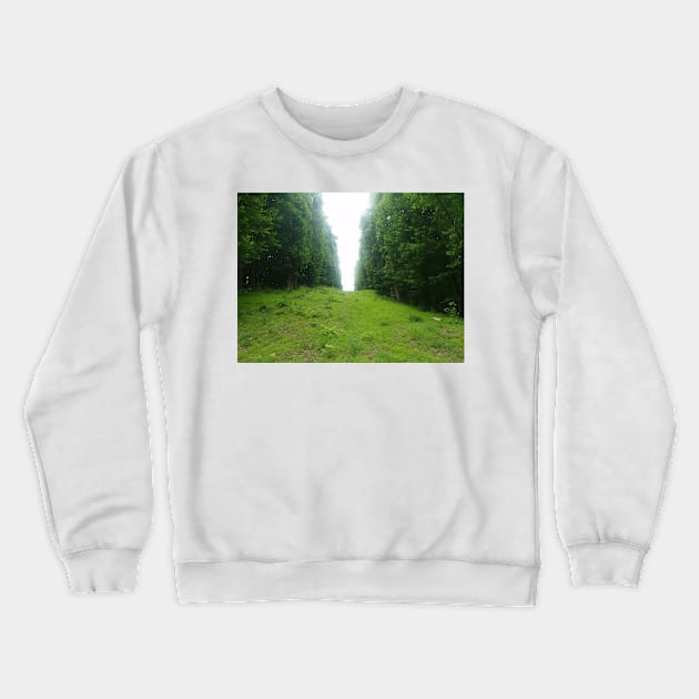 The Great Divide Crewneck Sweatshirt by BenjiRetroWave